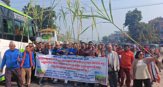 सर्लाहीमा उखु किसानकाे आन्दोलन स्थगित, अब काठमाडौँमा दबाब दिने